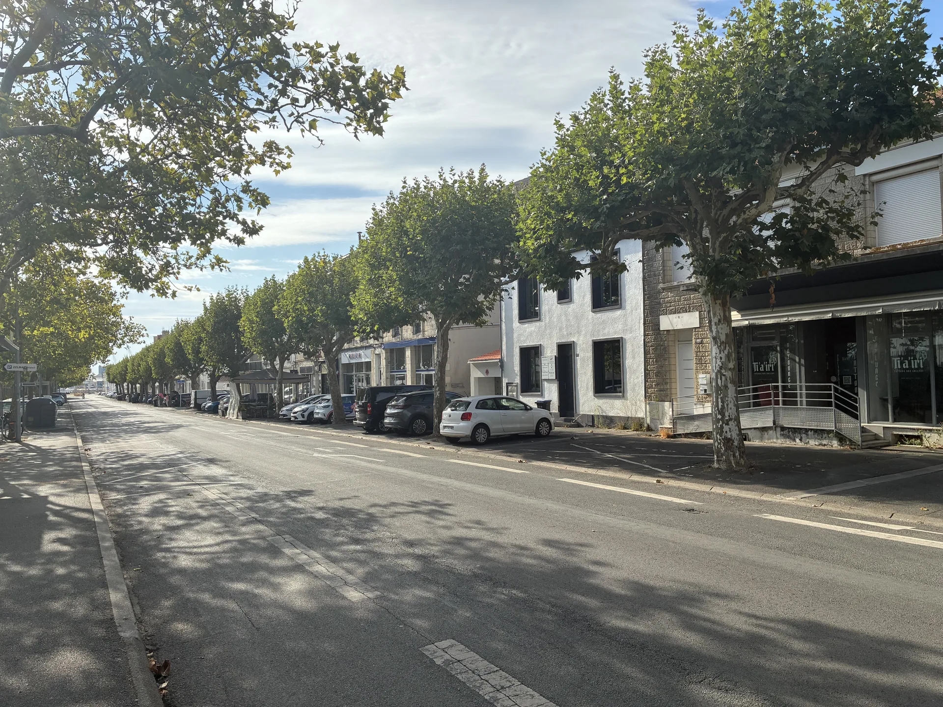 Boulevard Émile-Delmas à La Pallice, La Rochelle, artère commerçante bordée de platanes