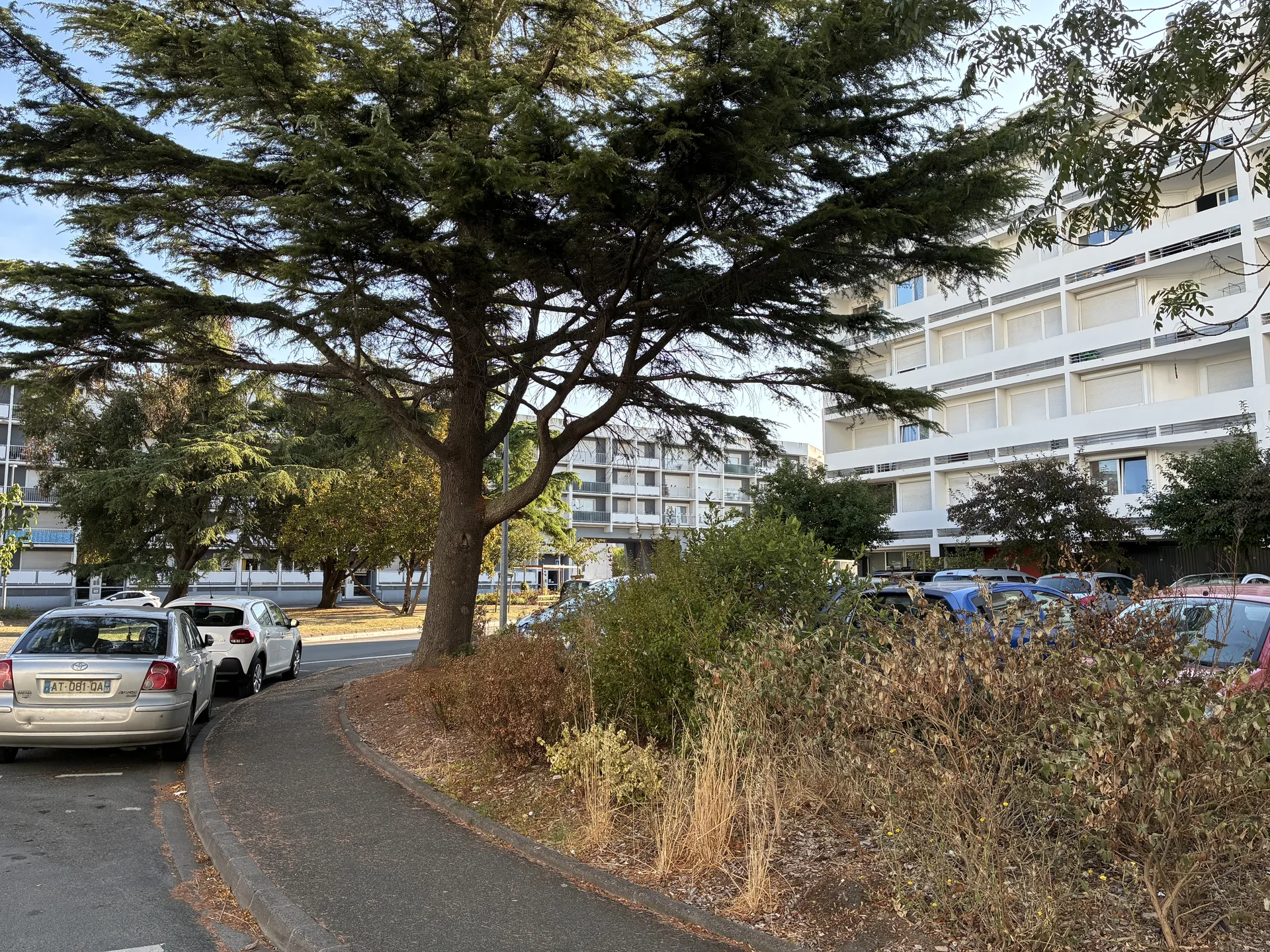 Avenue Robert-Schuman à Mireuil, La Rochelle, immeubles résidentiels et espaces verts